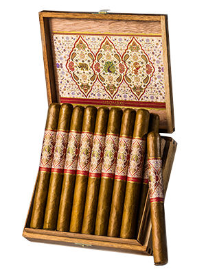 Churchill_Ecuador_Connecticut_02