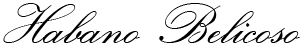 H_Belicoso