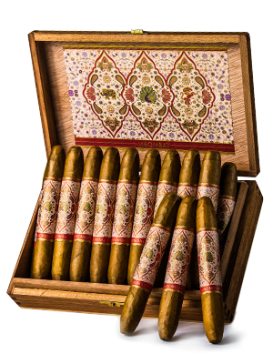 Perfecto_Ecuador_Connecticut_02