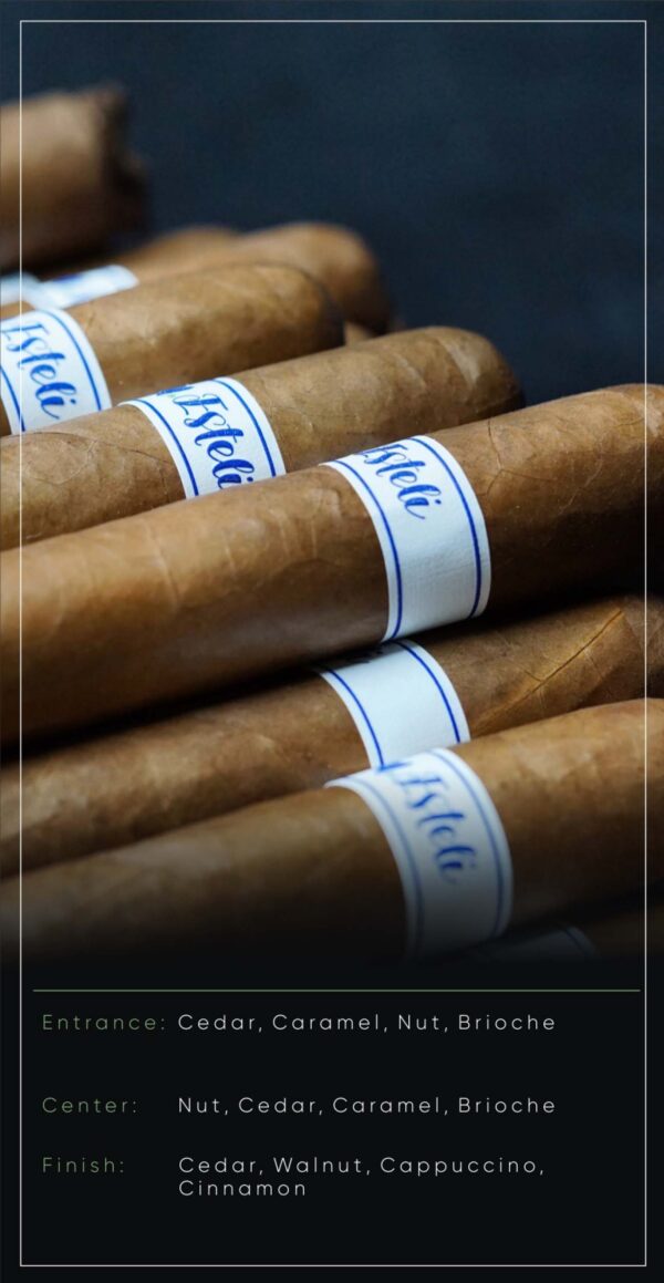m.Esteli-1-600×1159
